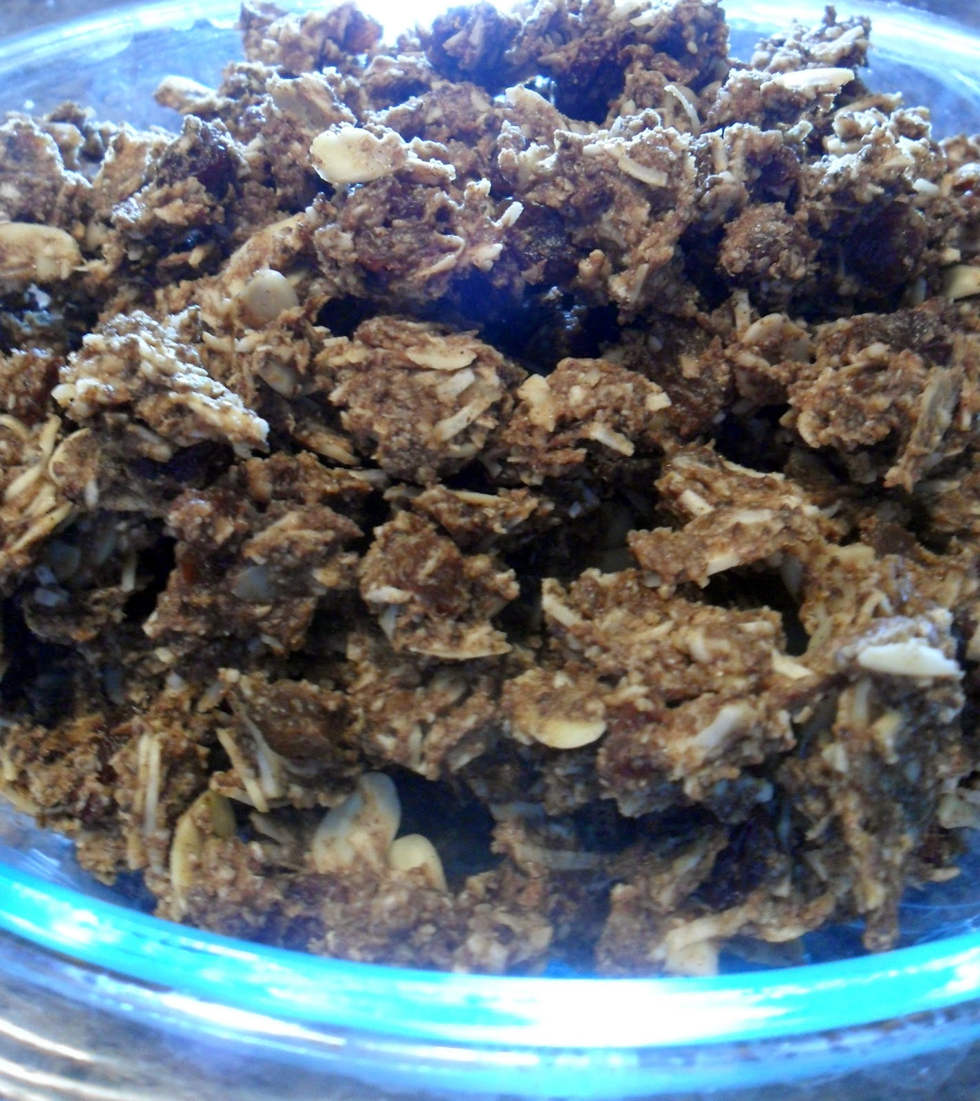 HappyWithout Grain Free Granola sugar free