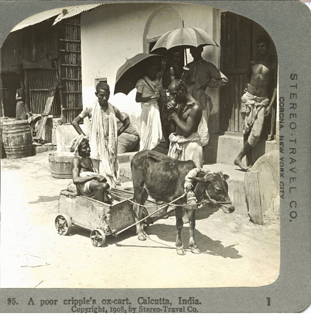 Poor-Cripple-Beggar%2527s-Ox-Cart---Calcutta-%2528Kolkata%2529-1908