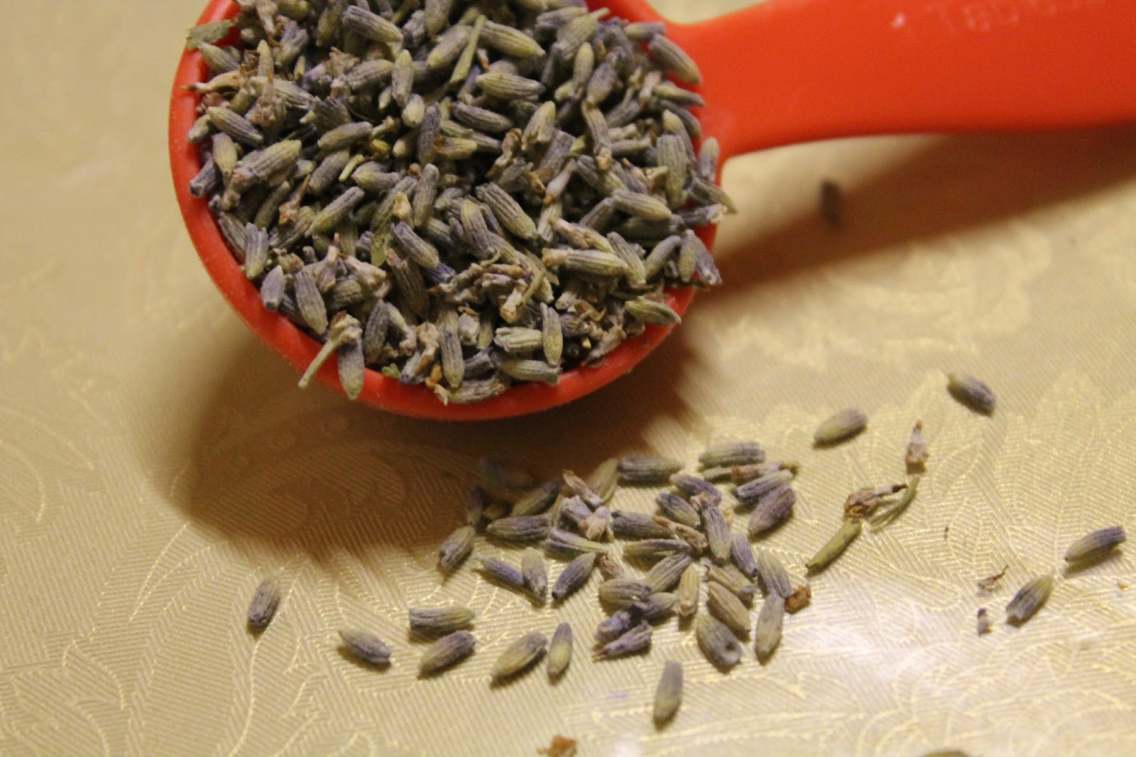 Earl Grey, Lavender and Chocolate Chip Loaf Cake