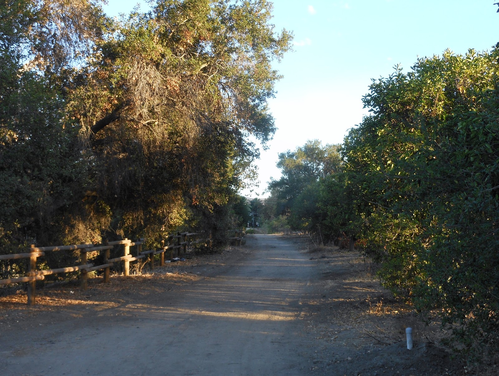 1000 Hikes in 1000 Days Day 656 Northwest Open Space