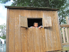 Alexandre tree house (farm) in Maine