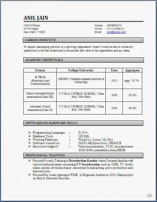 resume format for civil engineer experienced pdf download