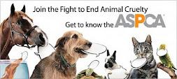 link to the ASPCA