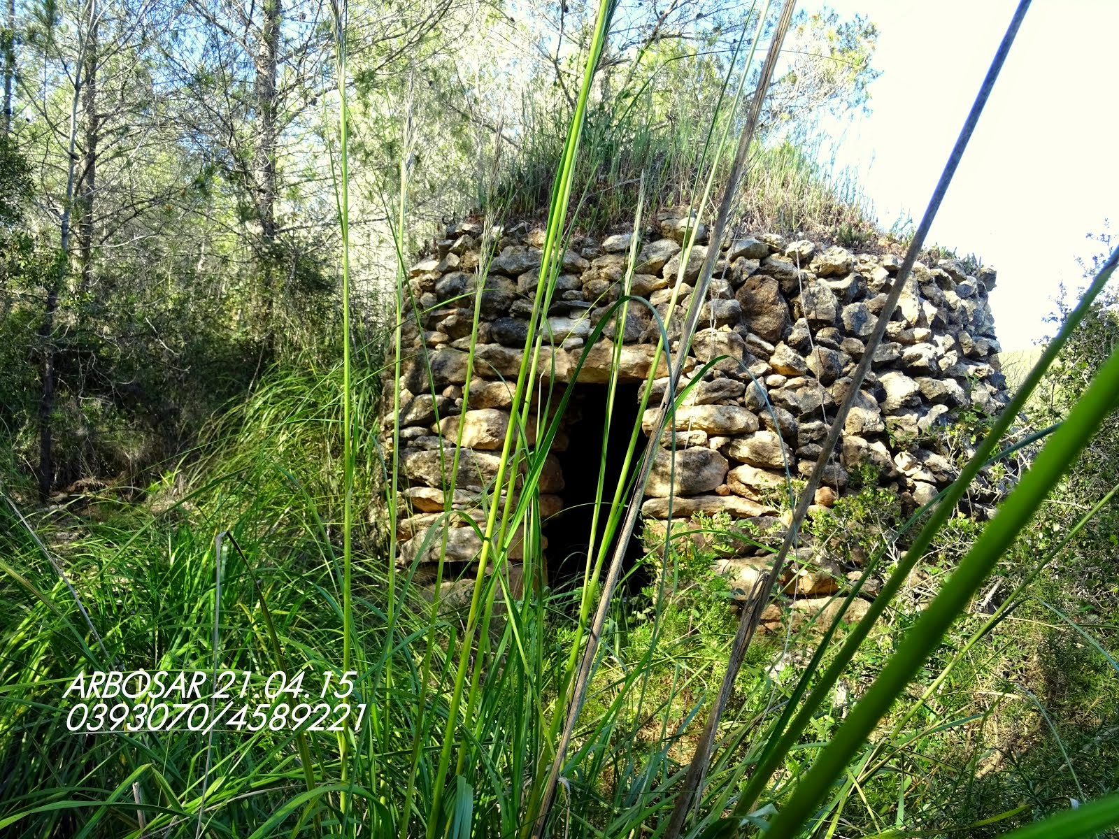 UNA BARRACA BEN CONSERVADA PROP DE L'ARBOSSAR