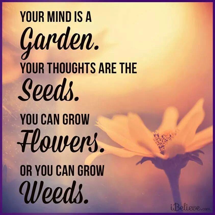 Your Mind Is a Garden. Your thoughts Are the Seeds, You can Grow