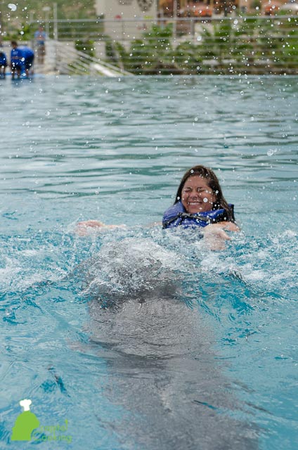 Capital Cooking with Lauren DeSantis: Around the Globe: Cabo Dolphins