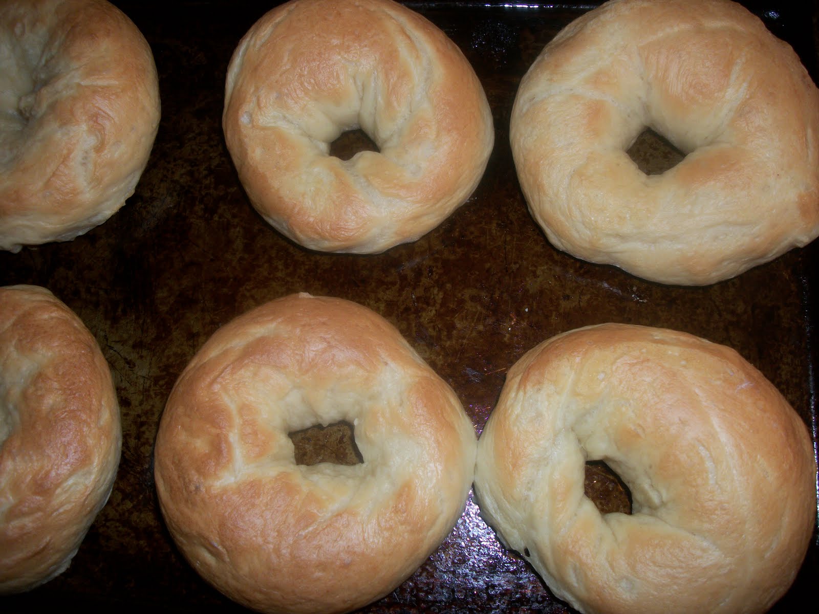 TwoBGardening Homemade Bagels with Pesto Cream Cheese