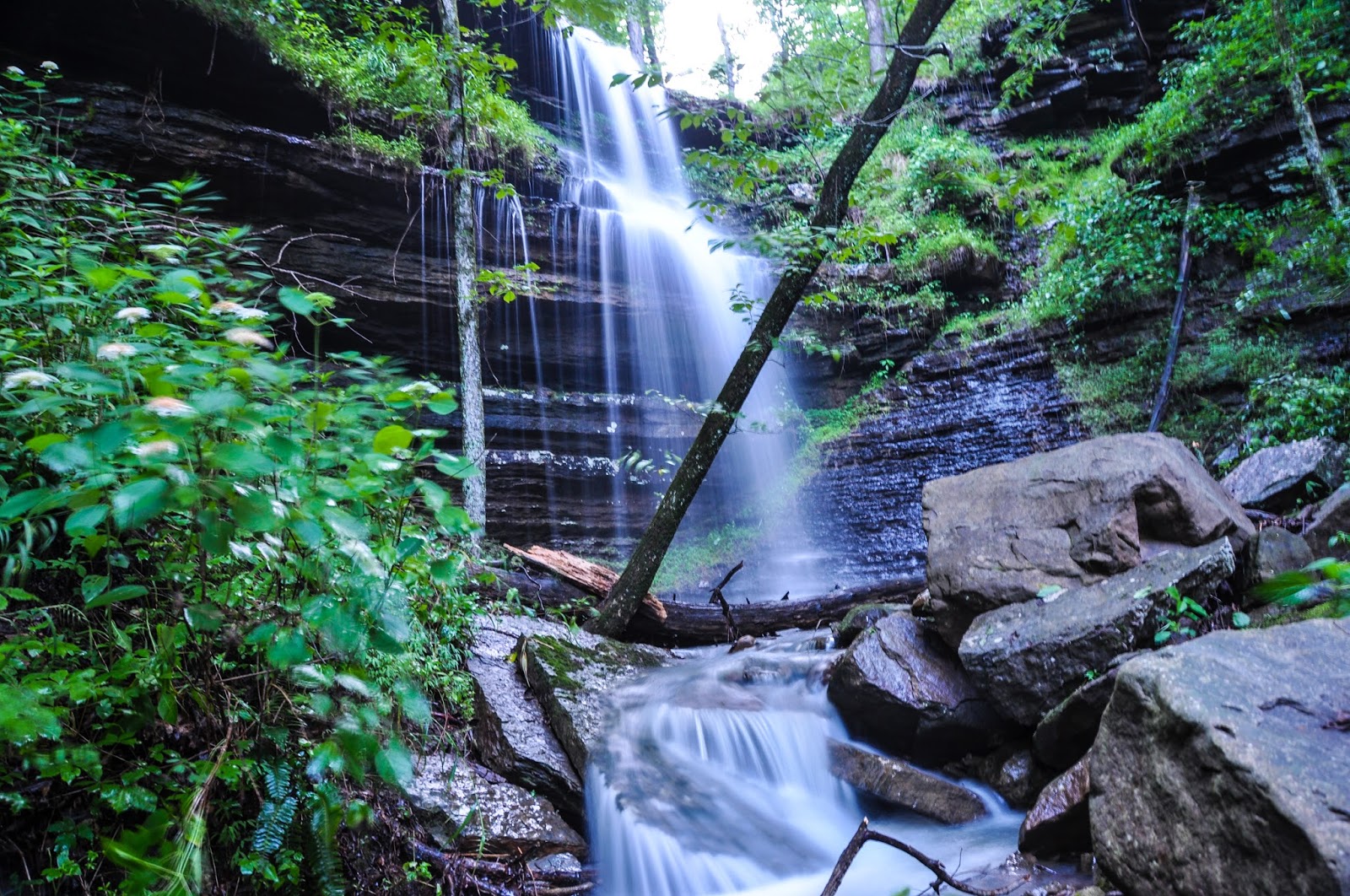 Rick's Hiking Blog Cove Creek Polyfoss, Arkansas Ozarks near Oark