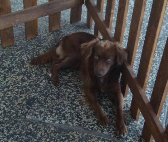 Imagem