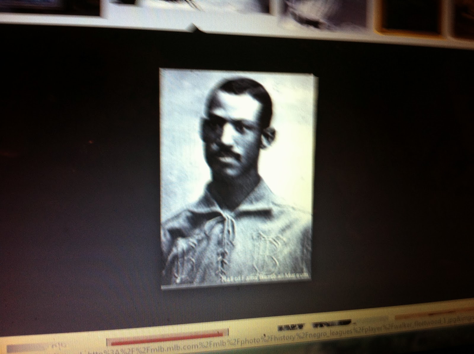 THE BLACK SOCIAL HISTORY BLACK SOCIAL HISTORY AFRICAN AMERICAN