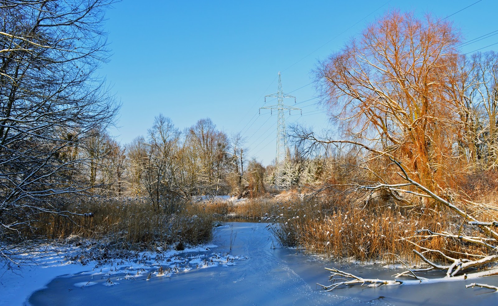 Zima Park Wschodni Wrocław