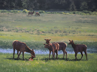 Paisajes de la Vida Silvestre Americana