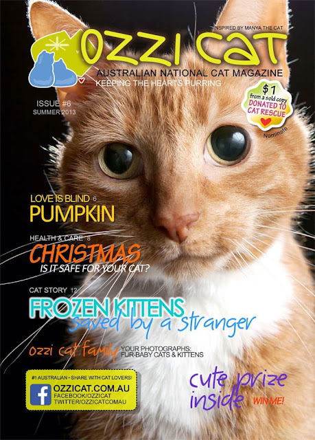 Ozzi Cat Magazine summer 2013