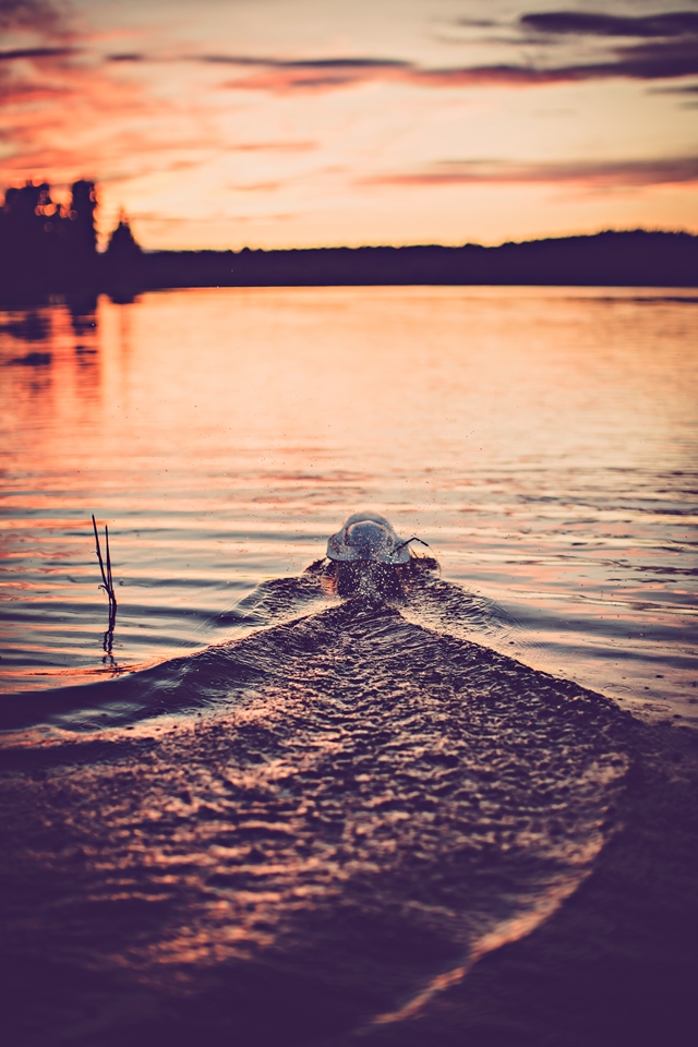 midsommar 2014. 31 sommarafton 51640 midsommar 2014.