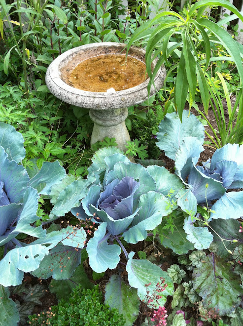 Mixed edible gardens.