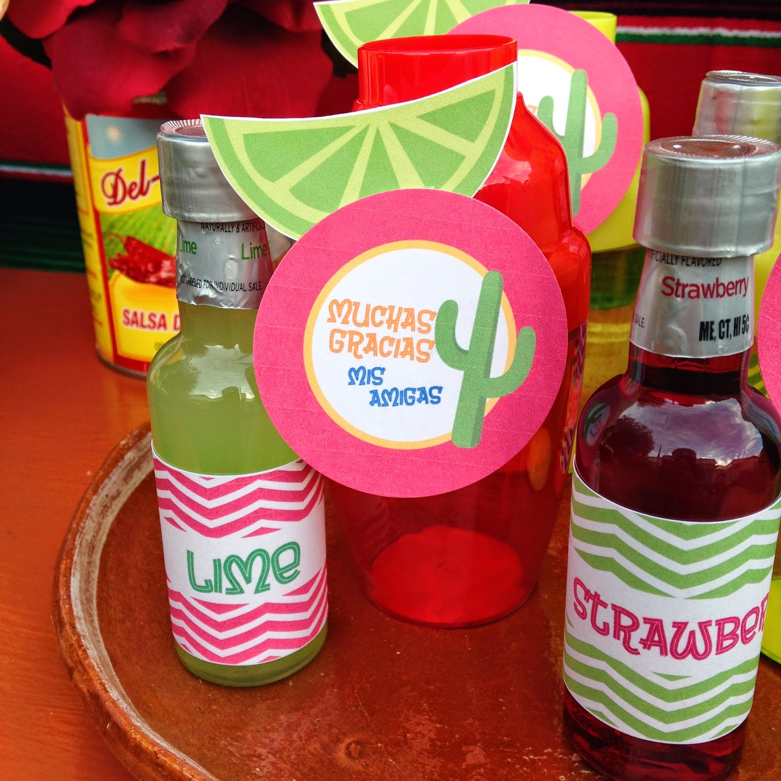 Cinco de Mayo fiesta! LAURA'S little PARTY