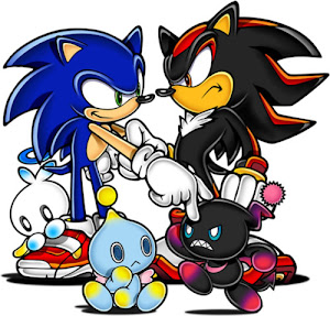 SONIC & SHADOW