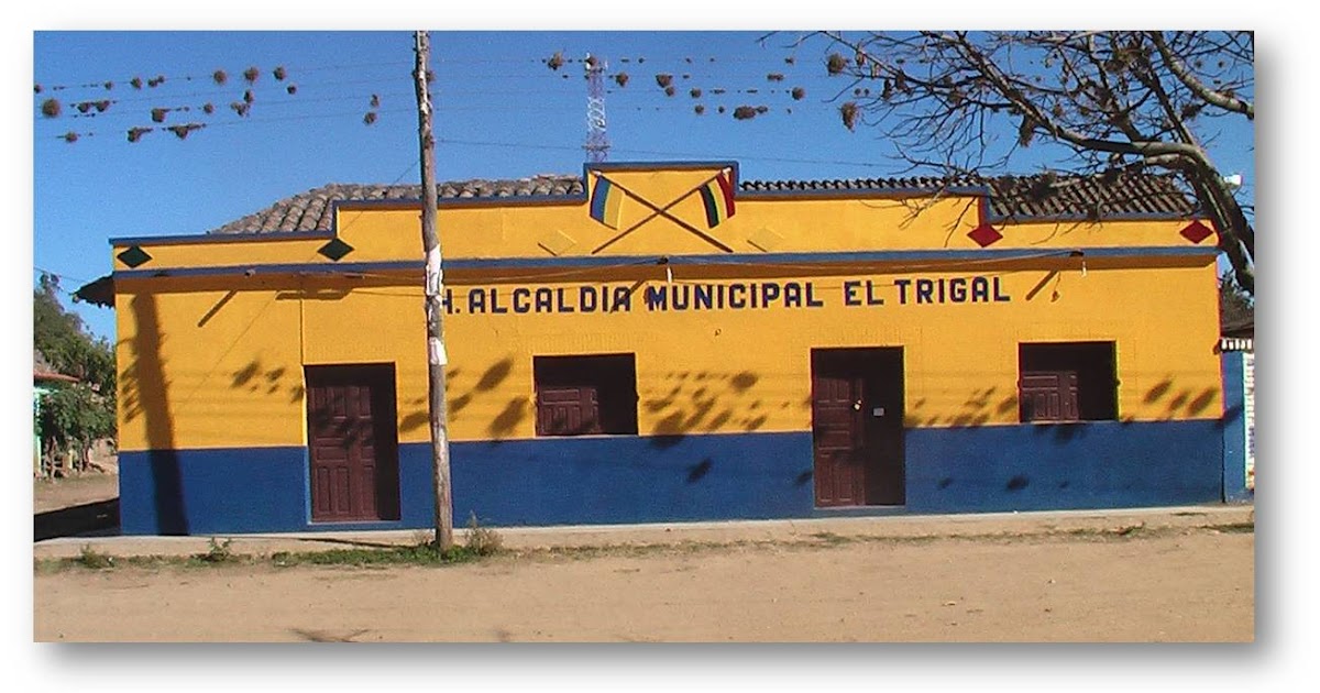 ALCALDÍA EL TRIGAL Alcaldía El Trigal