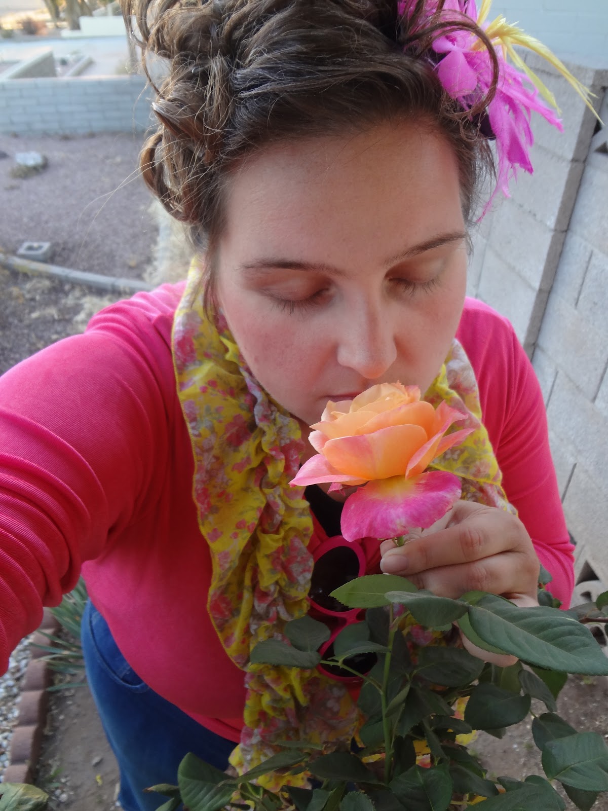 Classic Mary Moments A scented rose....