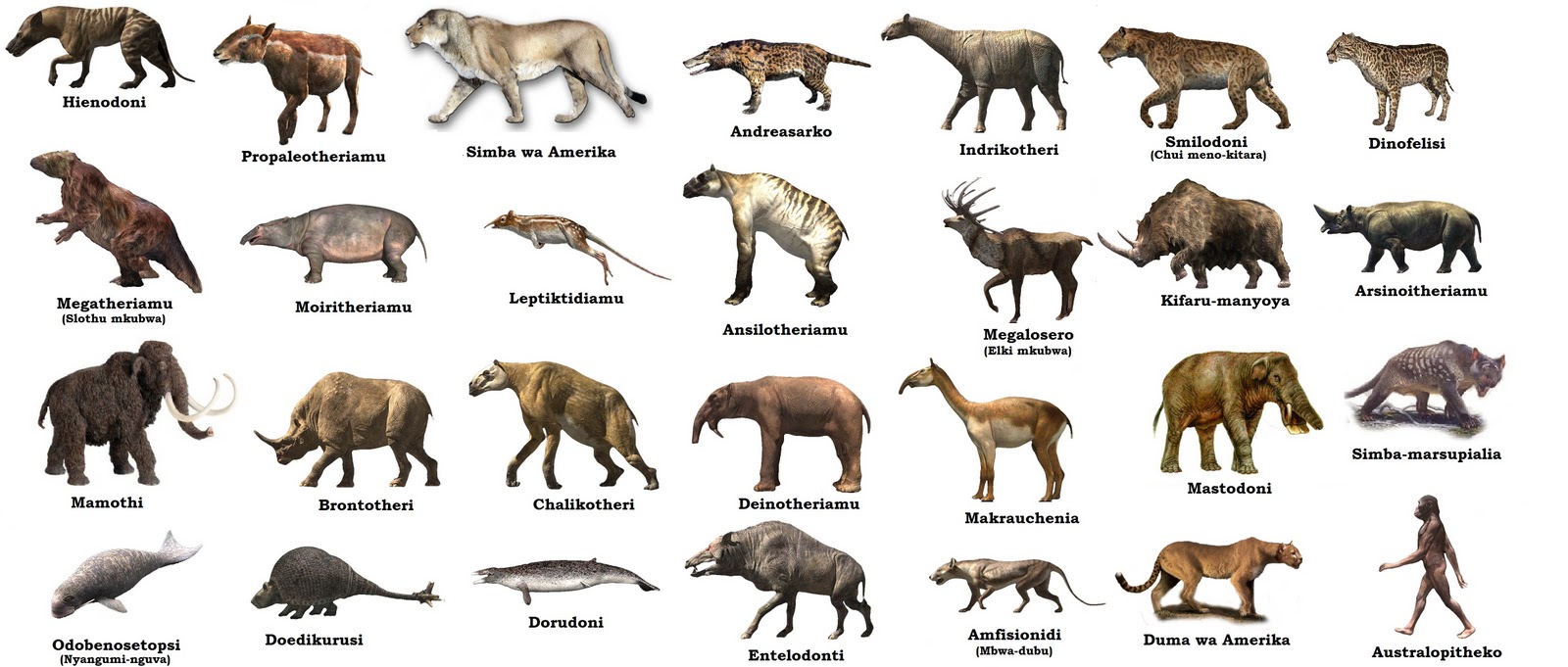 all animal age chart
