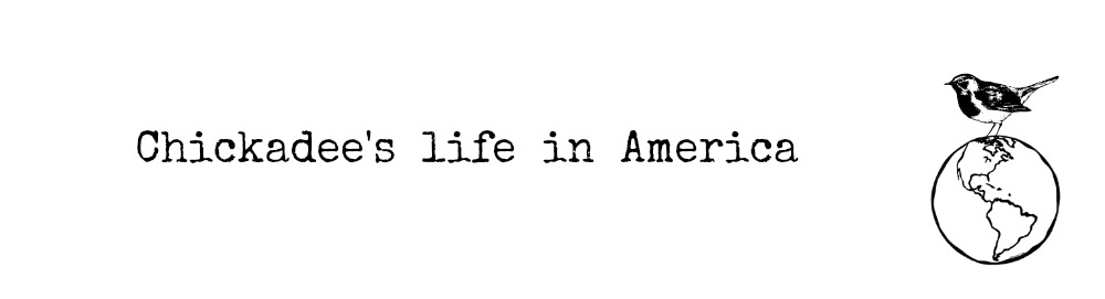 Chickadee's life in America
