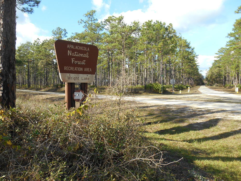 Bob & Sharon'sTravel Adventures Apalachicola NF 11/30/15 Sumatra, FL
