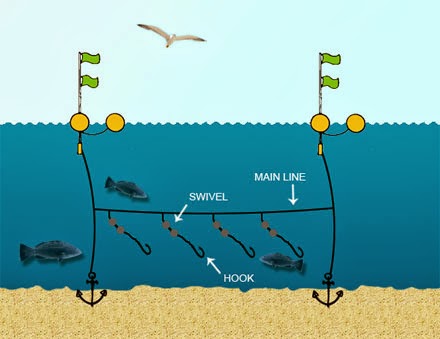 bottom longline fishing
