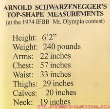Arnold Schwarzenegger measurements – STRENGTH FIGHTER
