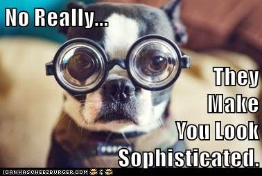 the eco cat lady speaks money can't buy you love or a \ sophisticated glasses meme the eco cat lady speaks money can't buy you love or a \