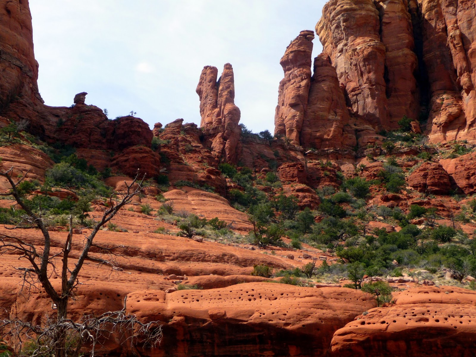 Teapots and Polka Dots Pink Jeeps and the Coconino National Forest