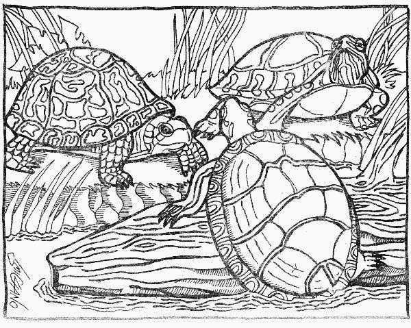 SMIG: Petting Zoo Coloring Book