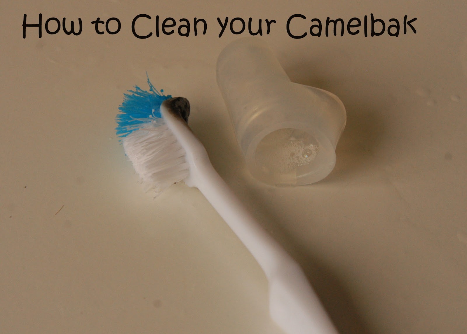 Jewels in a Kitchen How to Clean your Camelbak Water bottle
