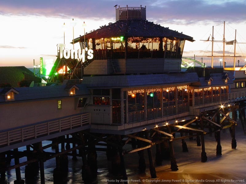 This and That and More of the Same "Fish Bowl"