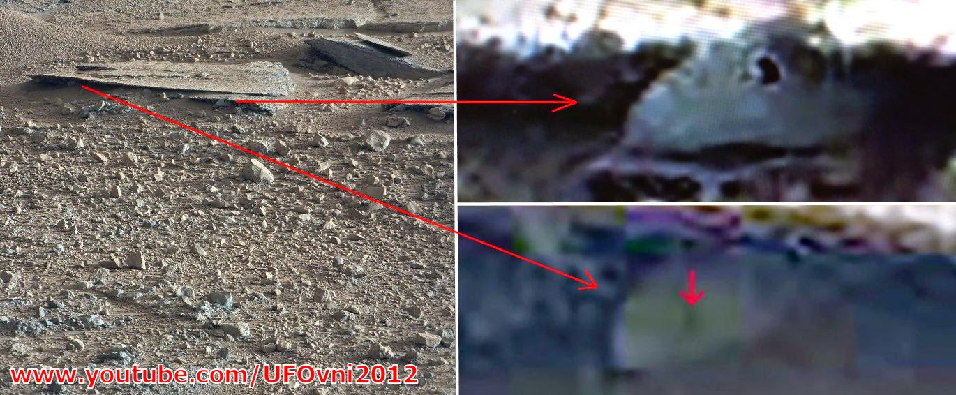 Ancient Aliens On Mars Live Animals On Mars