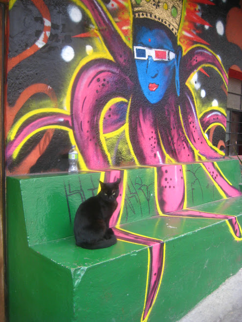 Le chat de Quito