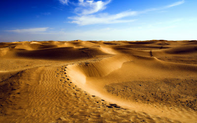 Arenas del desierto