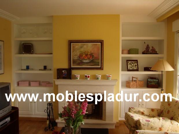 PLADUR BARCELONA: enero 2013