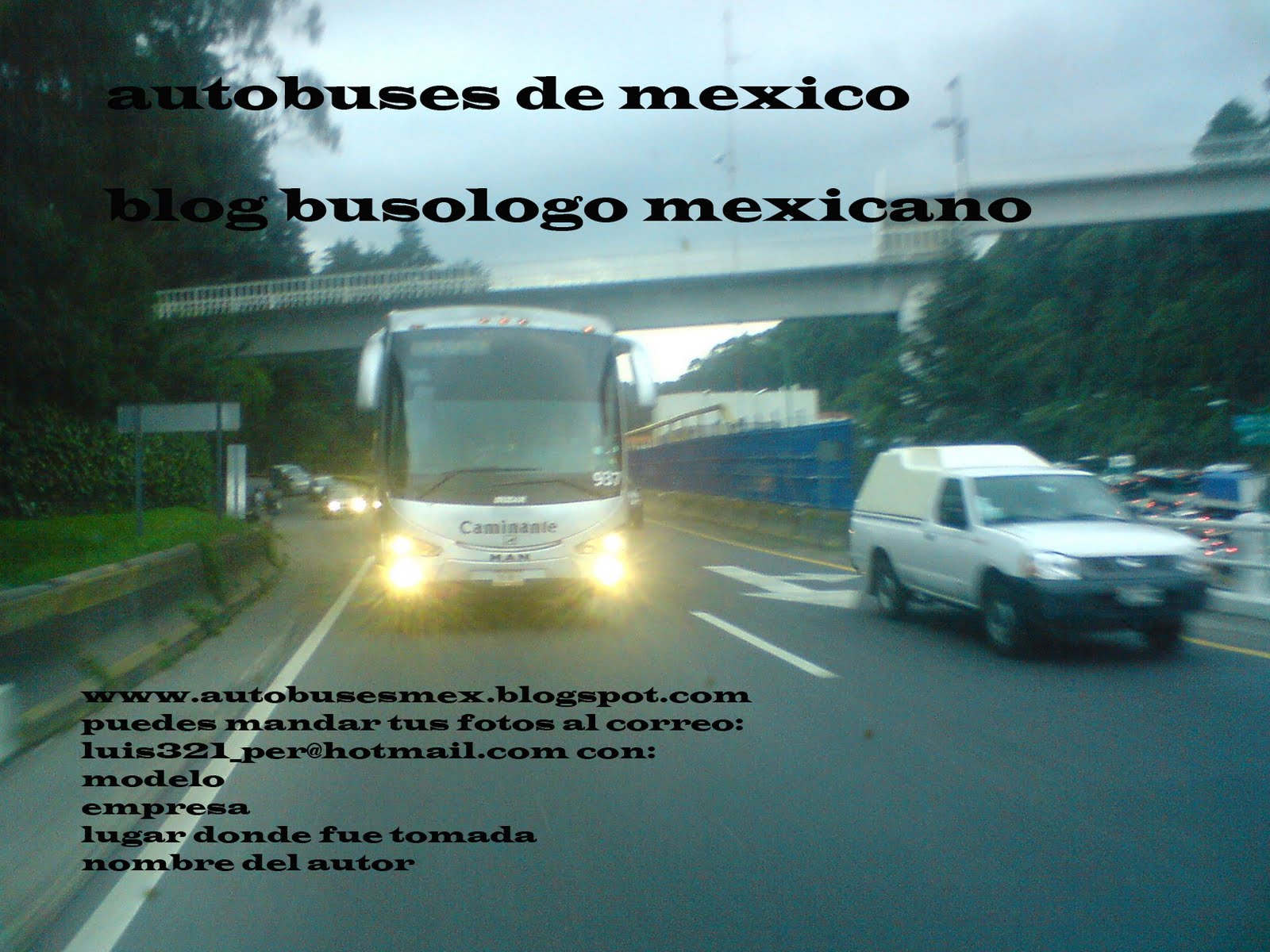 buses mexicanos