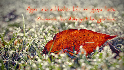 Best love shayari | Hindi shayari HD wallpaper Best love shayari | Hindi shayari HD wallpaper