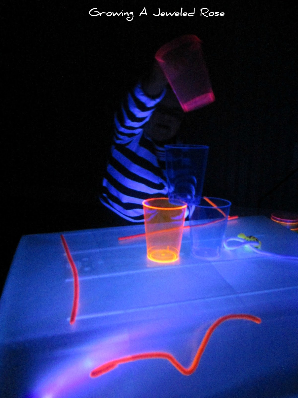 Black Light Sticky Table Growing A Jeweled Rose
