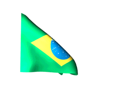 Animated Brazil