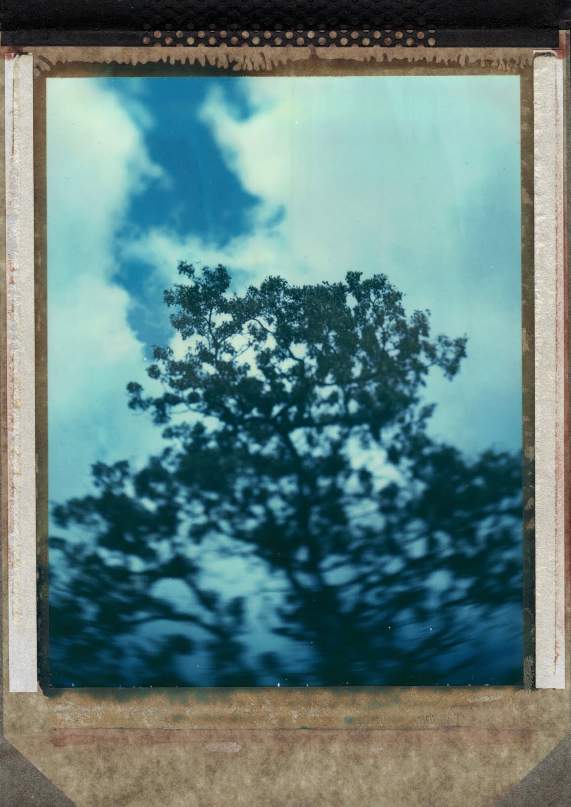 polaroid 59