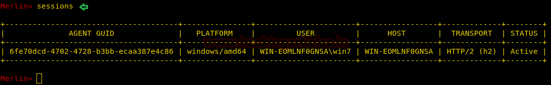 Merlin Command and Control Guide
