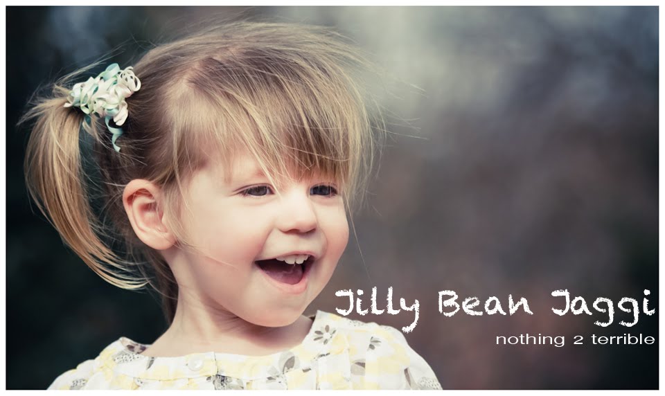 Jilly Bean's Life on the Net