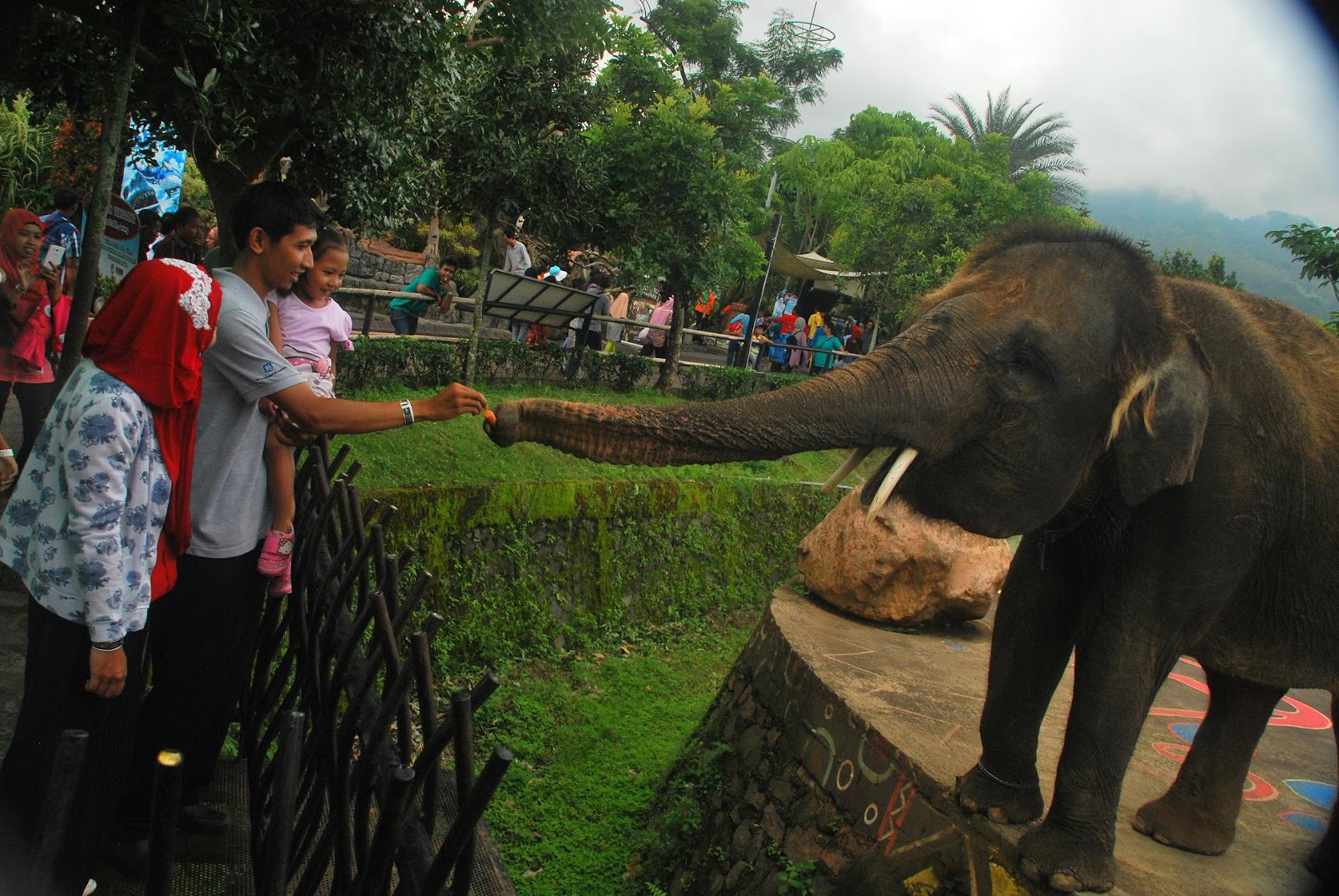 Batu Secret Zoo Kebun Binatang Terbaik ASIA Ke 9 2015 - MALANGLIFE