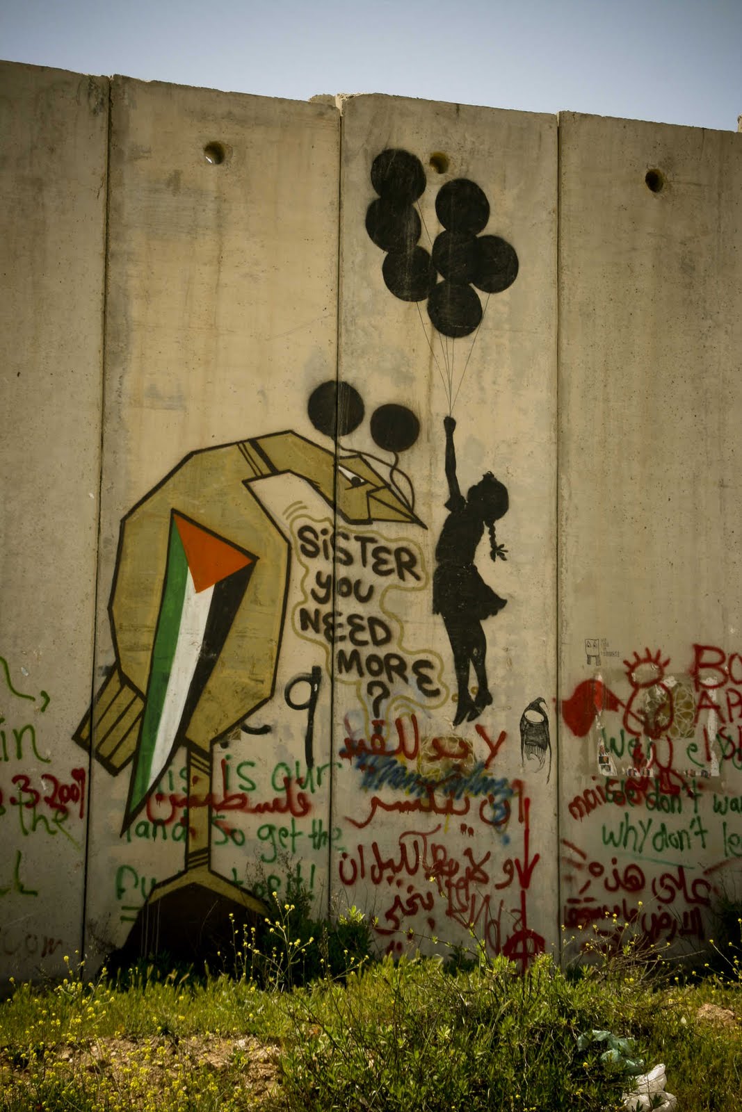 serious insanity Cool Stuff Graffiti on Palestine Wall