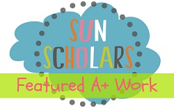 I Received an A+ at SunScholars.com