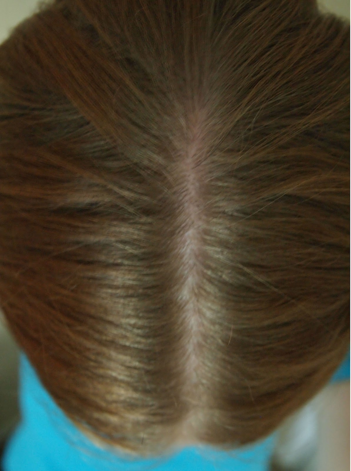 Kaylin S Kit Review Light Mountain Natural Hair Color