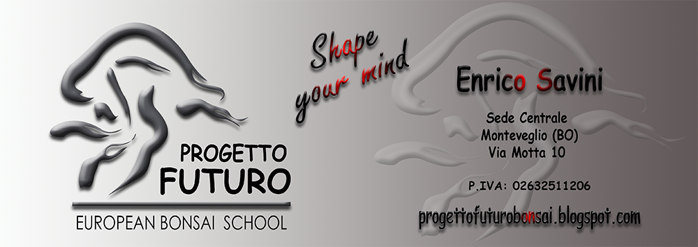 Progetto Futuro Bonsai School di Enrico Savini