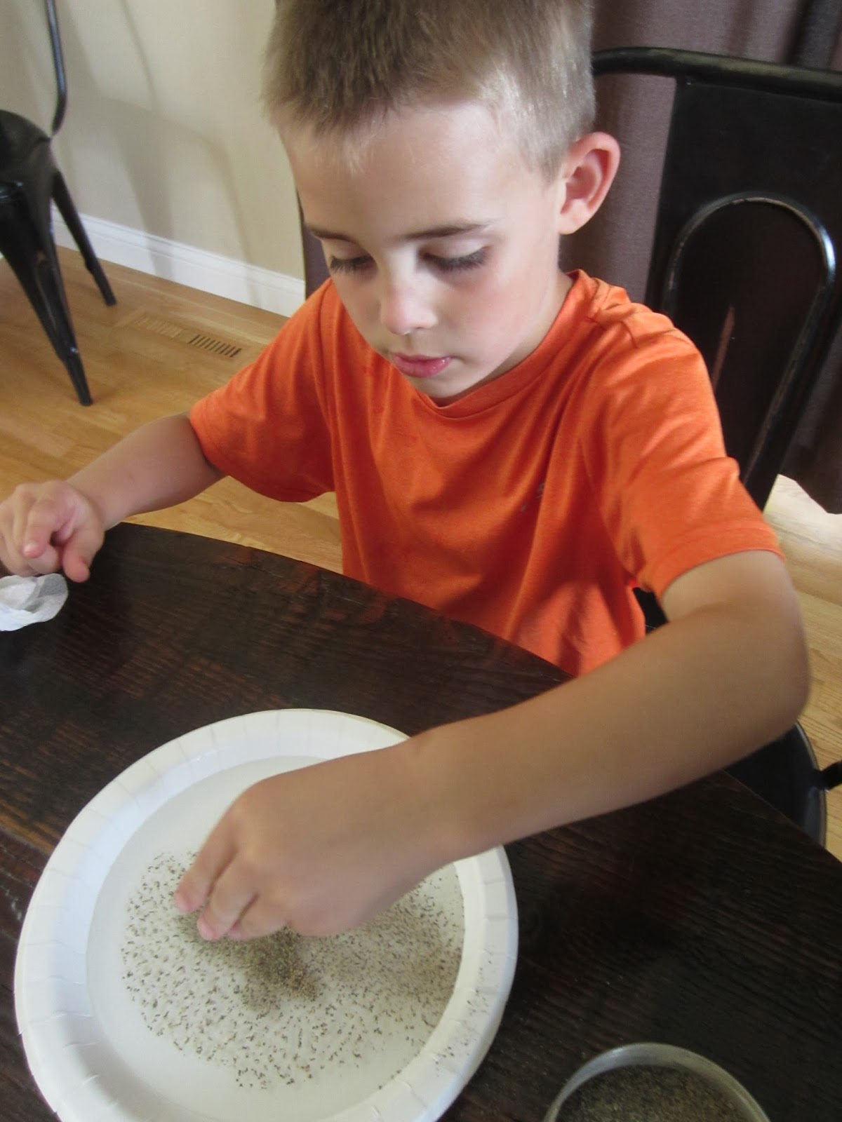 Relentlessly Fun, Deceptively Educational: Why You Need to Use Soap (a